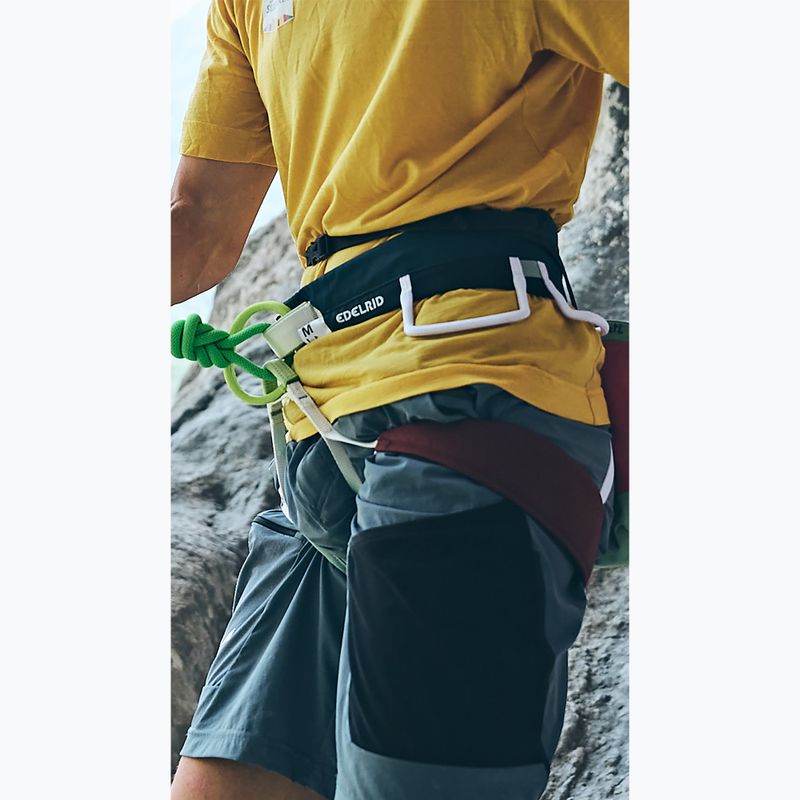 Laipiojimo diržas EDELRID Moe 3R assorted colours 7