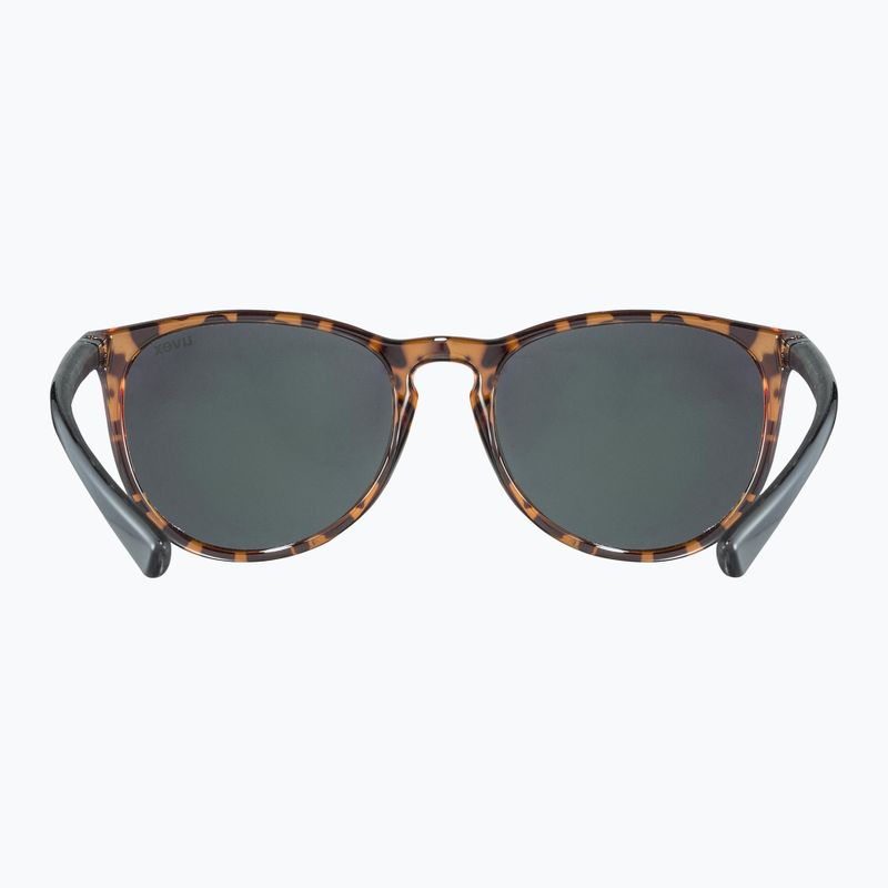 Akiniai nuo saulės UVEX Lgl 43 havanna black/mirror green 3