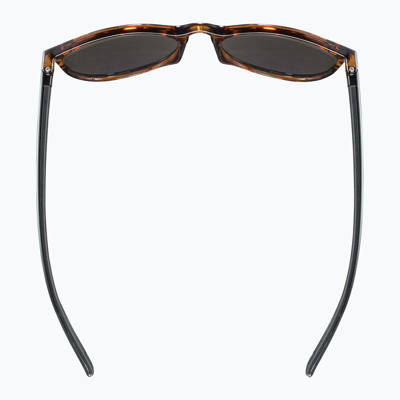 Akiniai nuo saulės UVEX Lgl 43 havanna black/mirror green 4