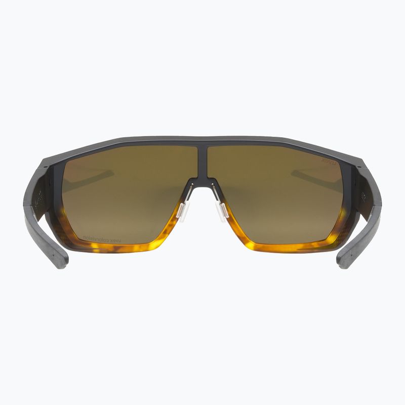 Akiniai nuo saulės UVEX Mtn Style CV havanna matt fade/mirror champagne 3