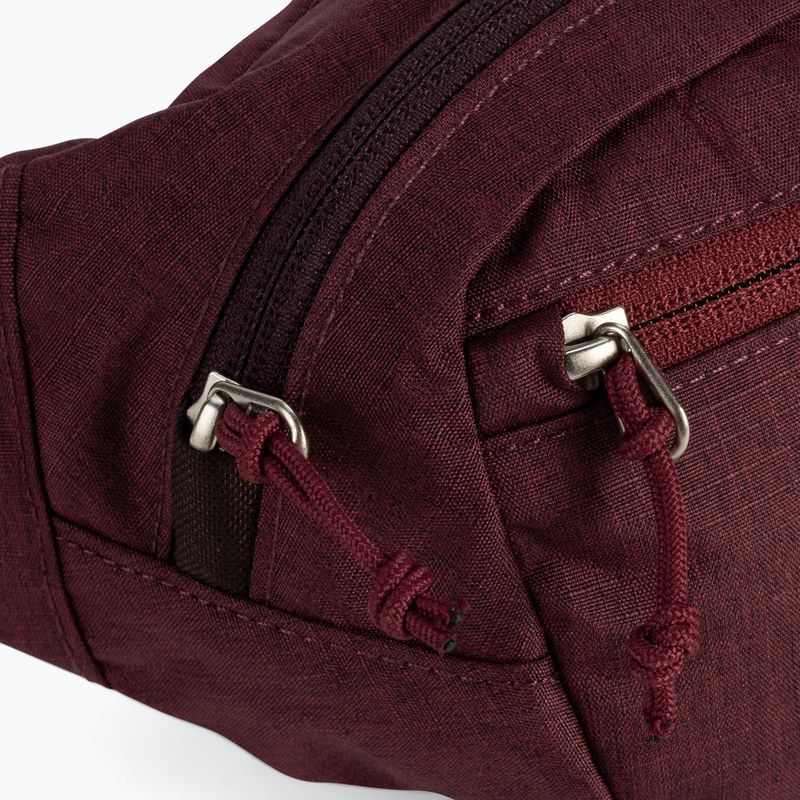 Rankinė ant juosmens deuter Belt I 1.5 l maron 7