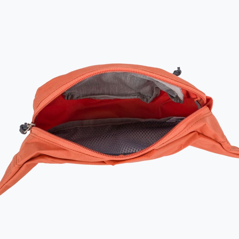 Rankinė ant juosmens deuter Urban Belt 1.5 l sienna 3