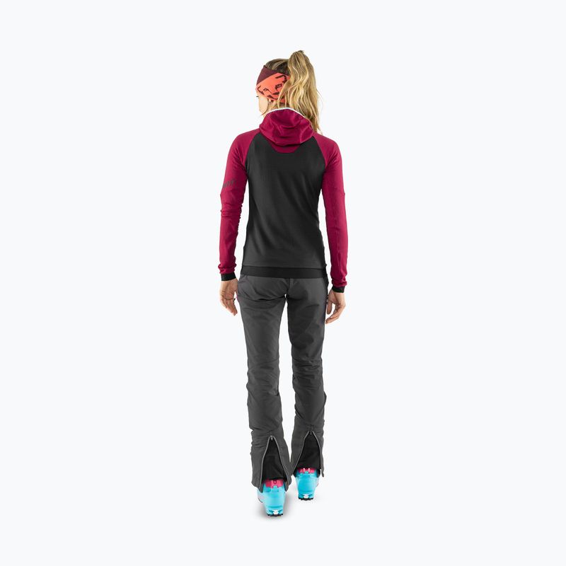 Galvos juosta DYNAFIT Leopard Logo dawn/1730 3