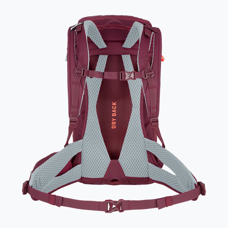 Salewa Alp Trainer 20 l moteriška trekingo kuprinė violetinė 00-00000000001262 2