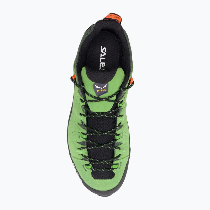 Vyriški trekingo batai Salewa Alp Trainer 2 GTX green 00-0000061400 6