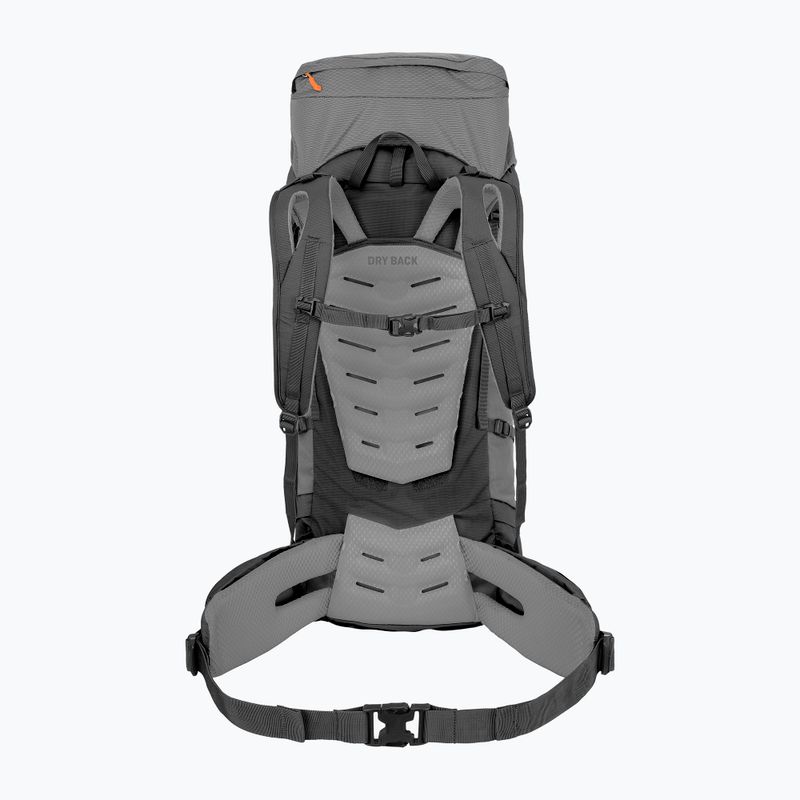 Salewa Alptrek 65+10 l Pro quiet shade trekingo kuprinė 2