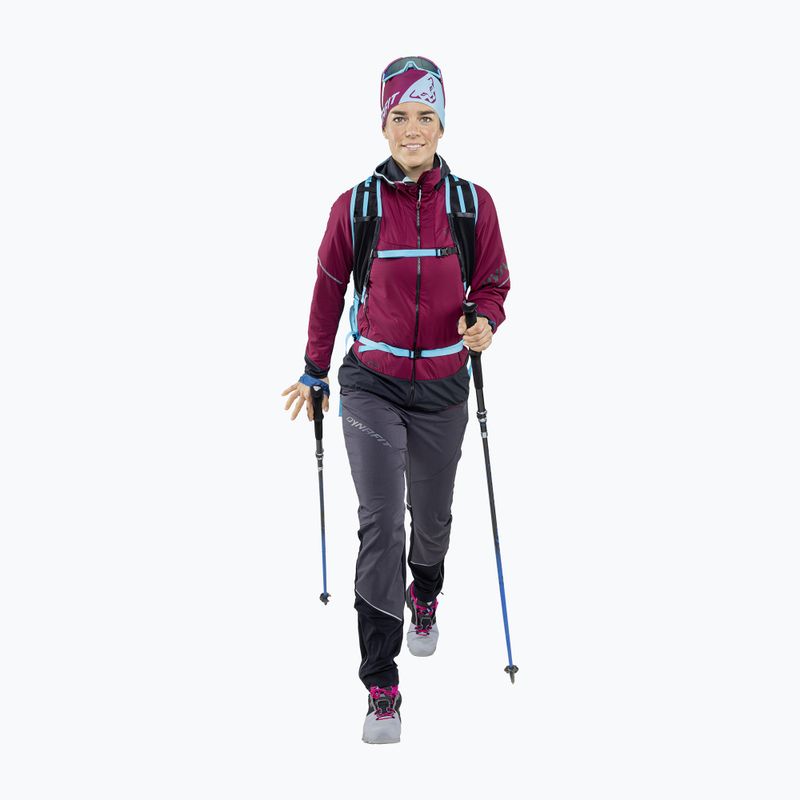 DYNAFIT Performance 2 Dry galvos juosta violetinė-mėlyna 08-0000070896 2