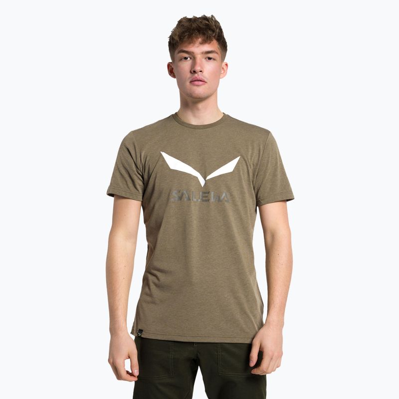 Vyriški Salewa Solidlogo Dry chaki spalvos trekingo marškinėliai 00-0000027018