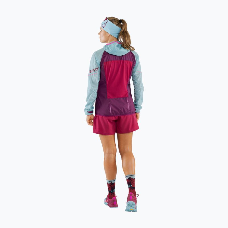 Moteriška bėgimo striukė DYNAFIT Alpine Wind 2 purple-blue 08-0000071155 2