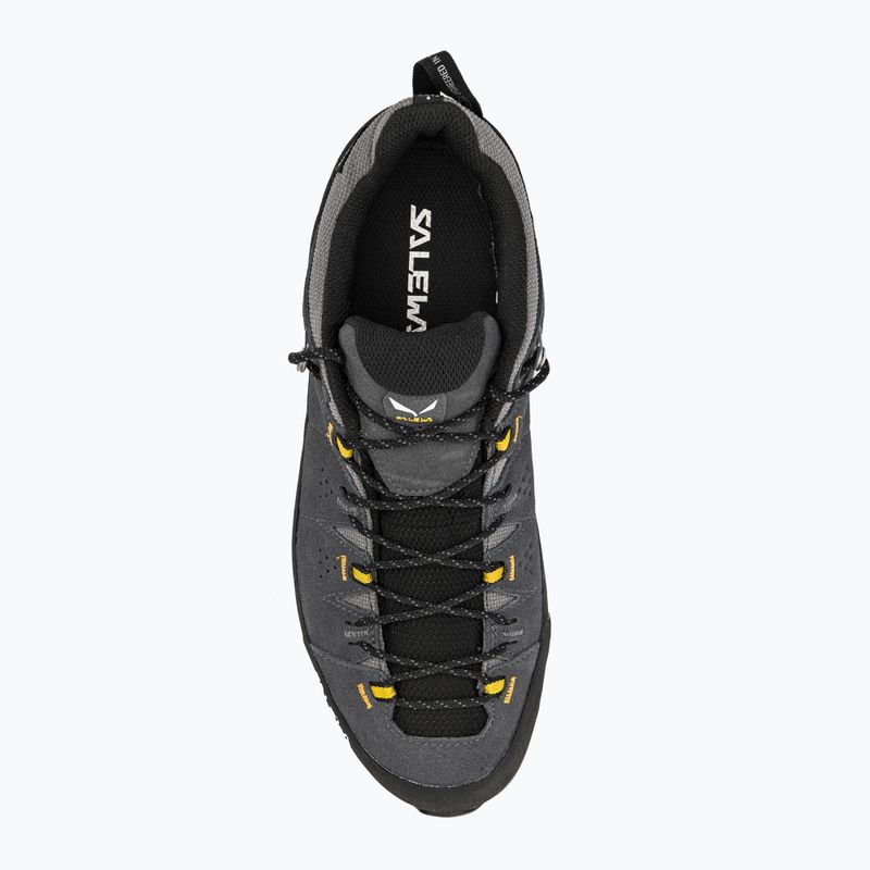 Vyriški trekingo batai Salewa Alp Trainer 2 GTX Grey 00-0000061400 6