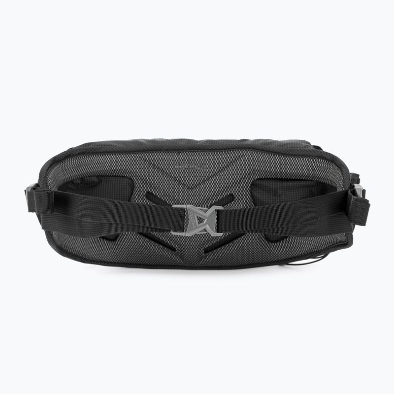 Rankinė ant juosmens Salewa Lite Train Hipbelt black 3