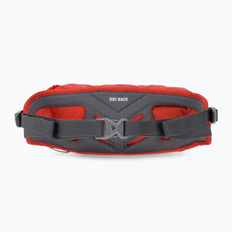 Rankinė ant juosmens Salewa Lite Train Hipbelt flame 3