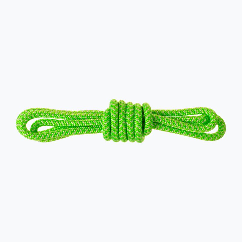 Pagalbinas lynas Salewa Ortles Master Cord 6mm Precut green