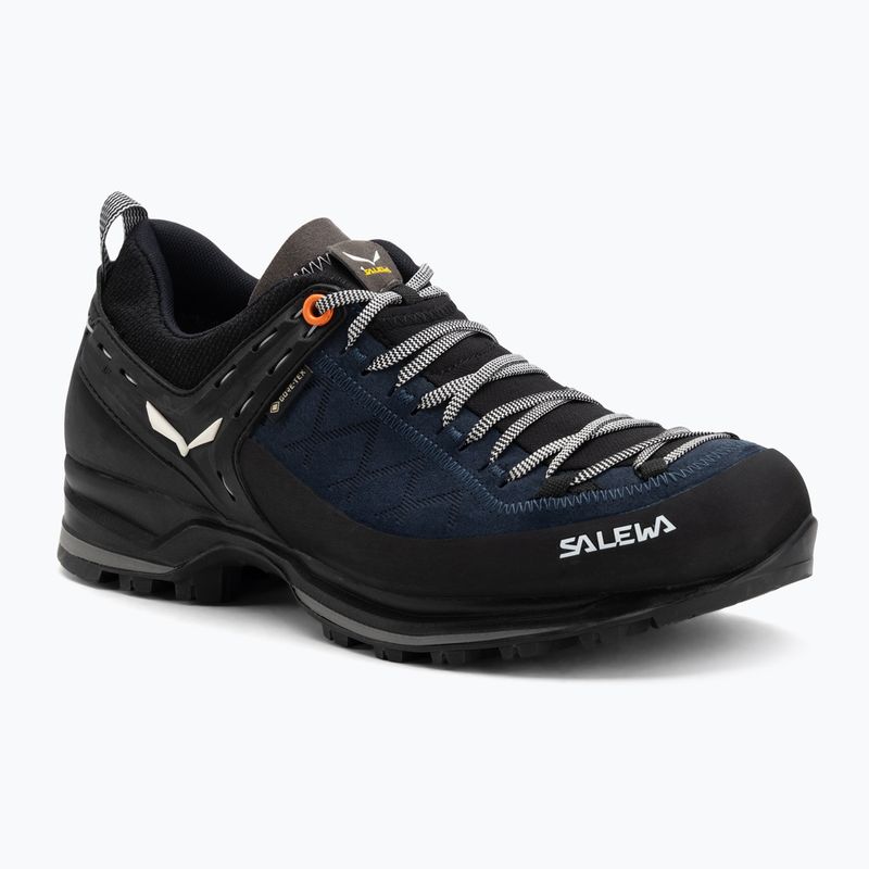 Vyriški žygio batai Salewa MTN Trainer 2 GTX blue seal/black