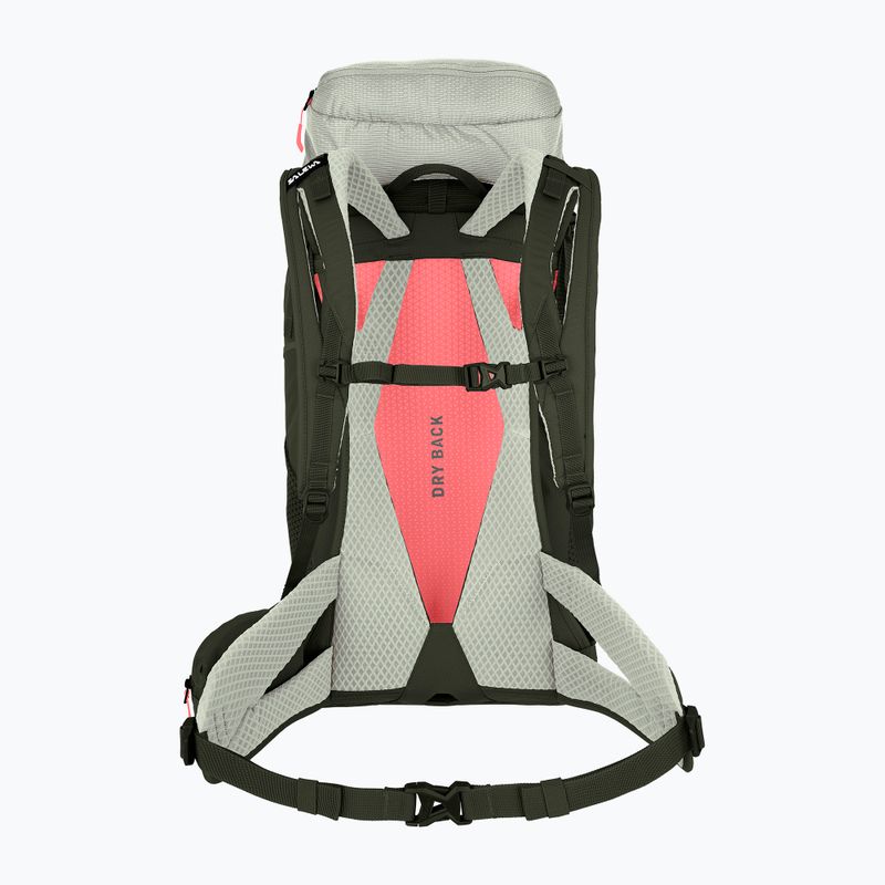 Žygio kuprinė Salewa Alp Trainer 35+3 shadow/dark olive 2
