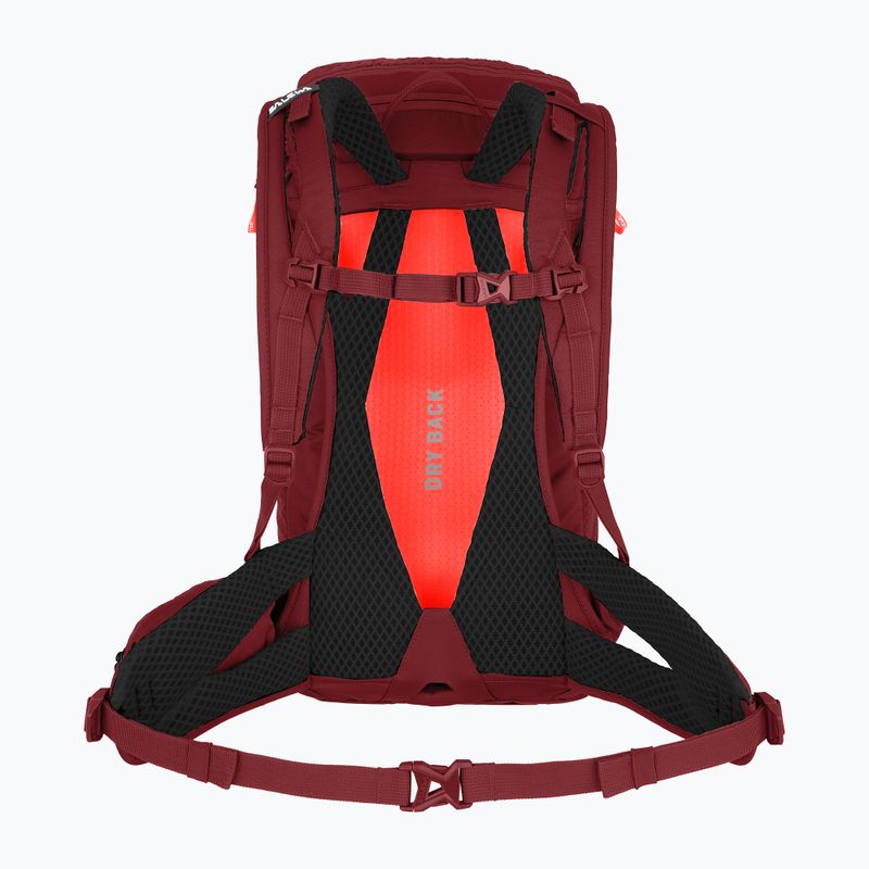 Salewa Alp Trainer 20 l syrah moteriška turistinė kuprinė 2