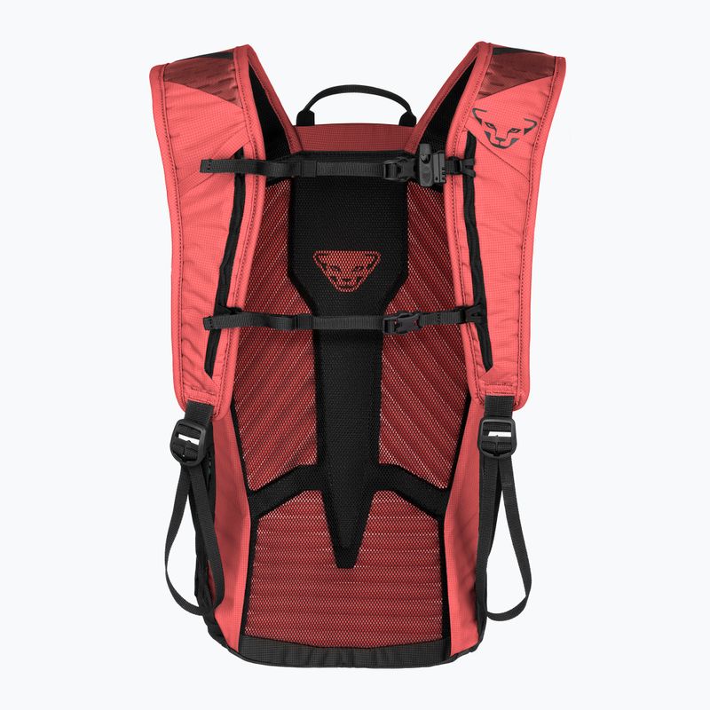 DYNAFIT Transalper 16 l cabana/black out moteriška turistinė kuprinė 2