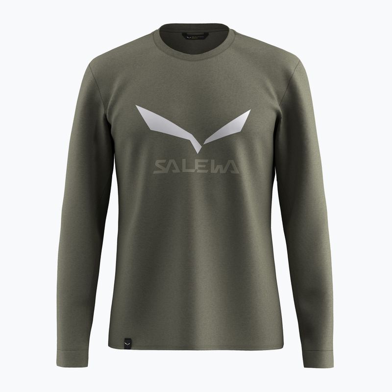 Vyriškas longsleeve Salewa Solidlogo Dry faded green