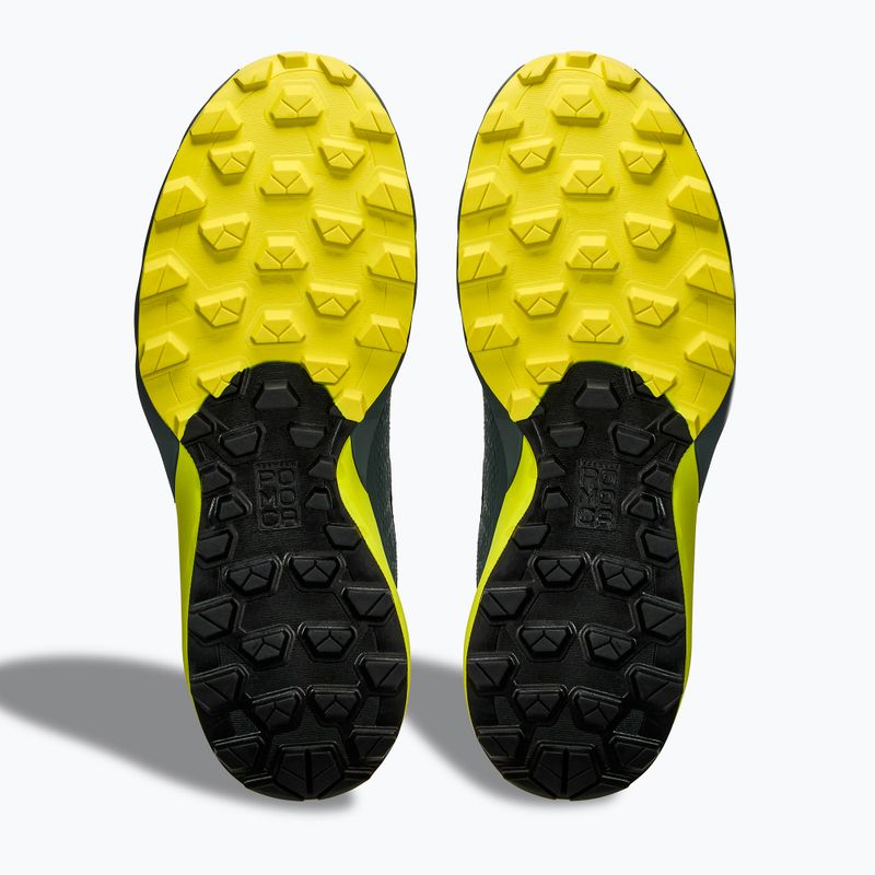 Vyriški bėgimo batai DYNAFIT Ultra GTX hurricane/black out 9