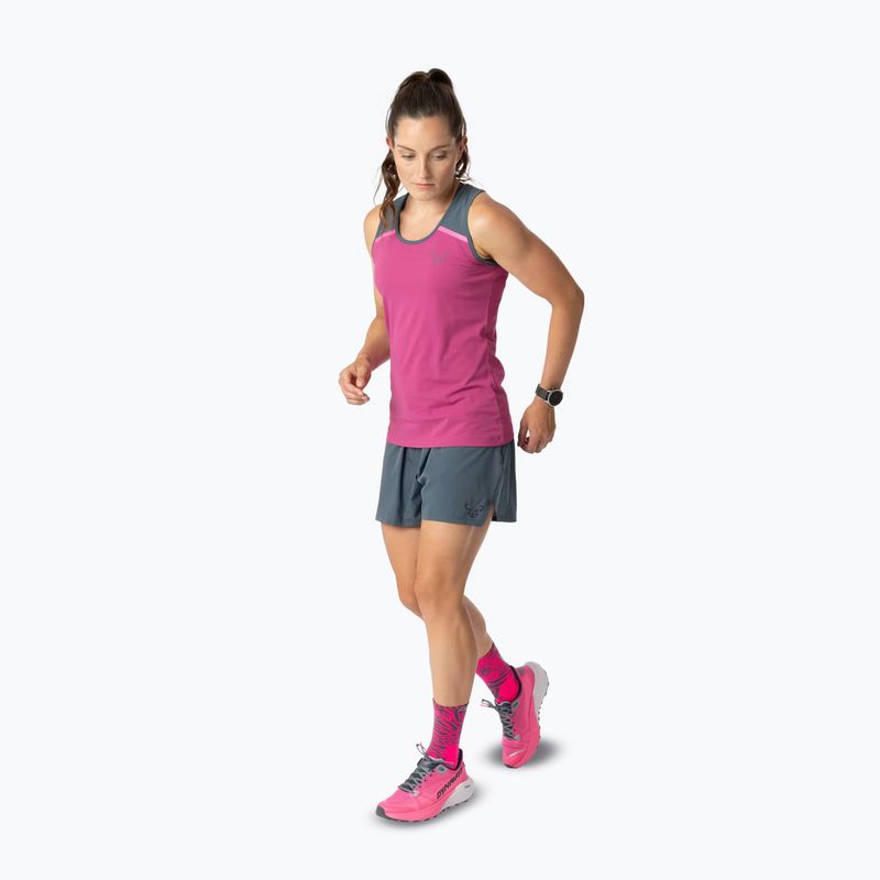 Moteriški bėgimo marškinėliai DYNAFIT Alpine Pro Tank magenta 2