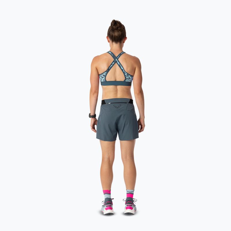 Treniruotinis liemenėlė DYNAFIT Alpine Graphic cloud blue 4