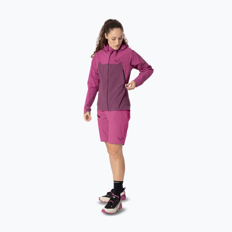 Moteriška softshell striukė DYNAFIT Transalper Dynastretch magenta/6a70 2