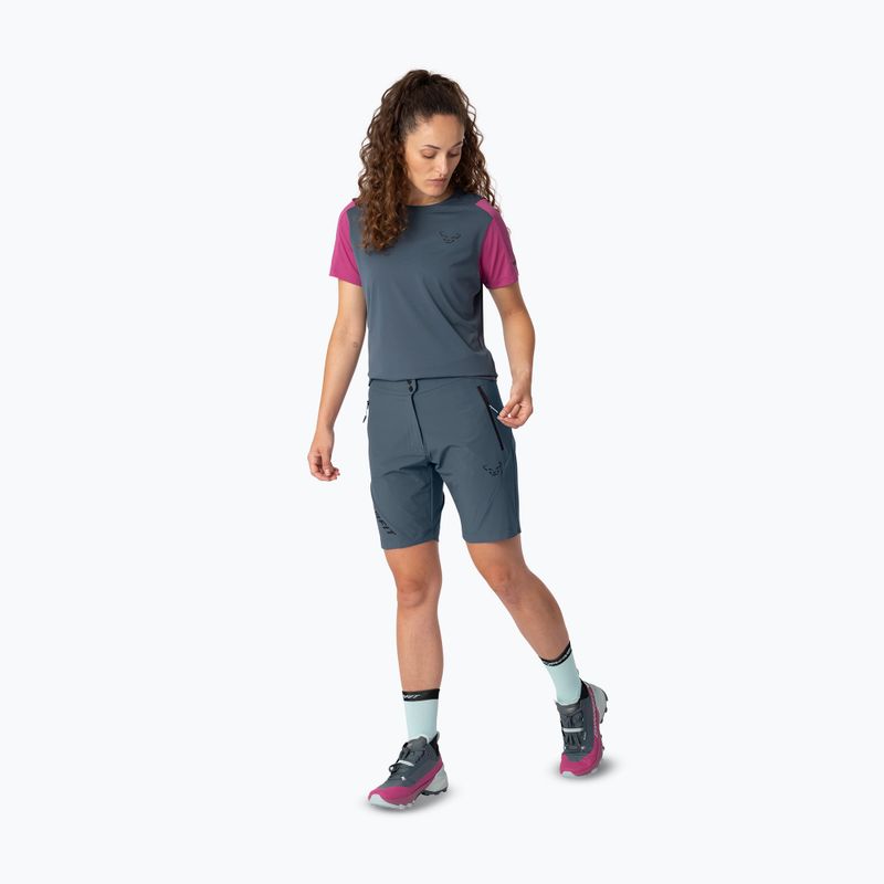 Vyriški žygio šortai DYNAFIT Transalper Light Dynastretch cinder/0910 2