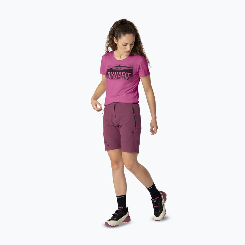 Moteriški žygio šortai DYNAFIT Transalper Light Dynastretch amaranth/0910 2