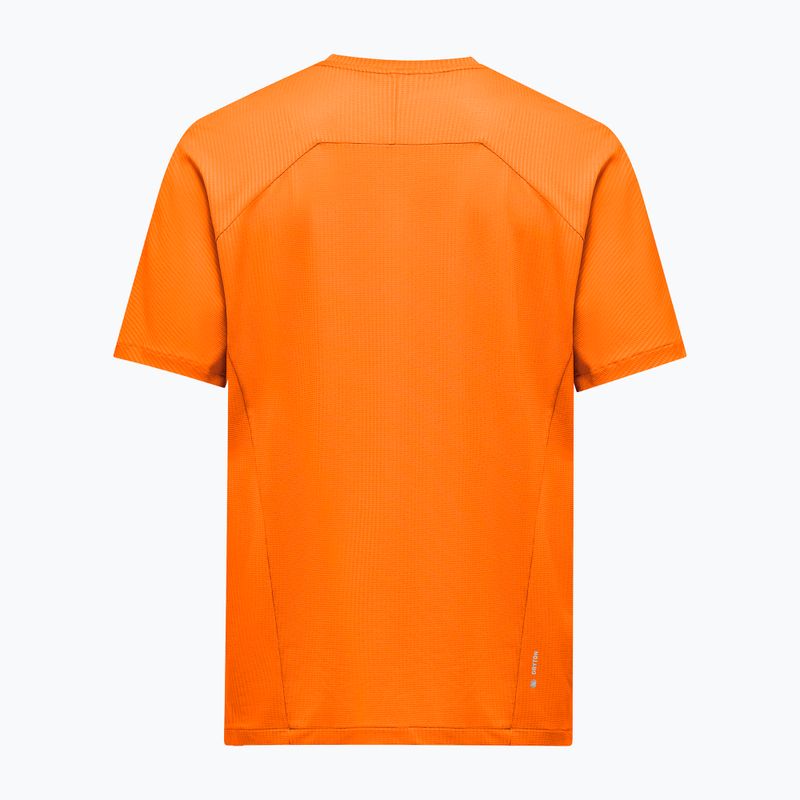 Vyriški marškinėliai Salewa Pedroc Dry Light turmeric 2