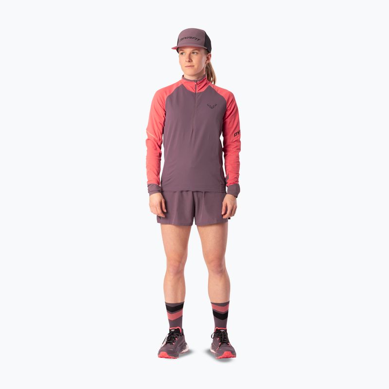 Moteriškas bėgimo džemperis Dynafit Alpine LS 1/2 Zip Tee cabana/6A90 2