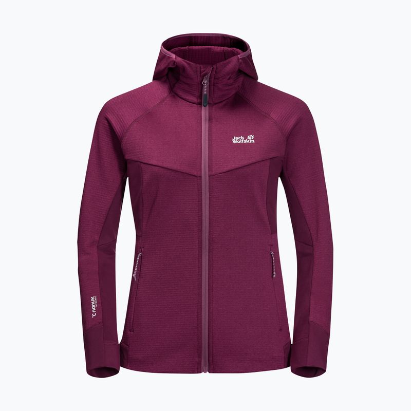 Jack Wolfskin moteriški Hydro Grid Fleece megztiniai rožinės spalvos 1709911 7