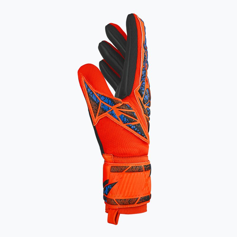 Vartininko pirštinės Reusch Attrakt Silver NC hyper orng/elec blue/blck 4