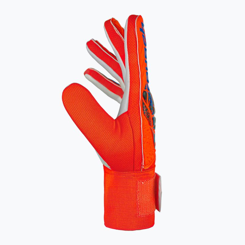 Vartininko pirštinės Reusch Attrakt Starter Solid bright red/future blue 4
