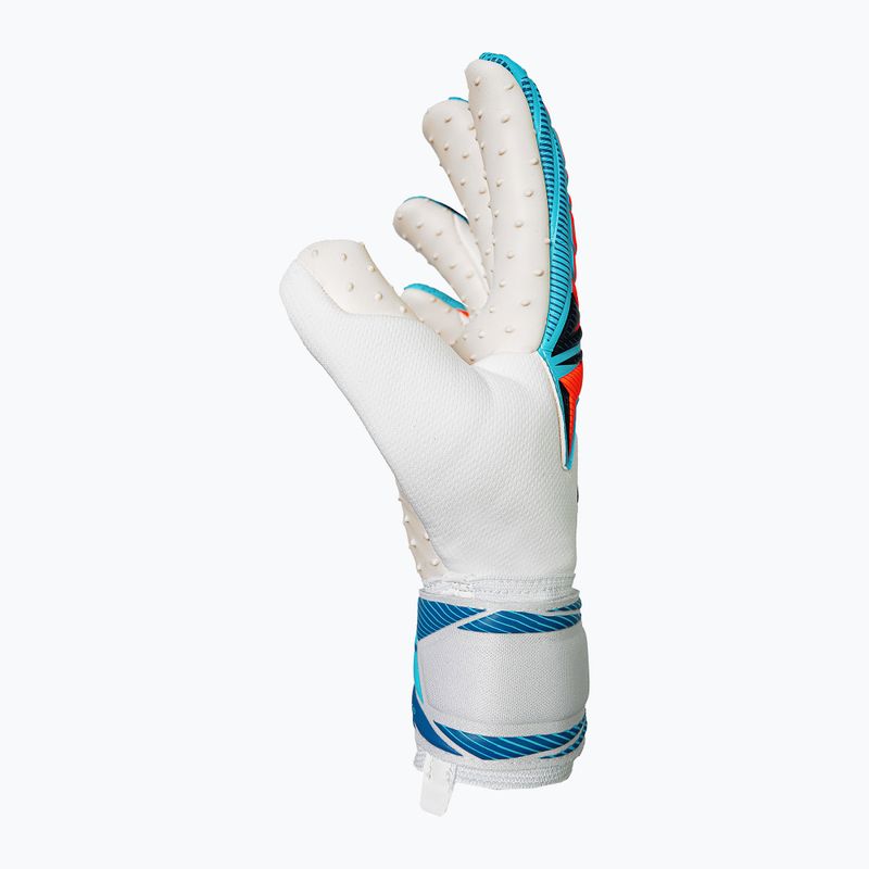 Vartininko pirštinės Reusch Attrakt SpeedBump white/light blue 4