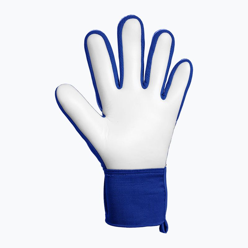 Vartininko pirštinės Reusch Attrakt Starter Solid sharp blue/white/shocking orange 3