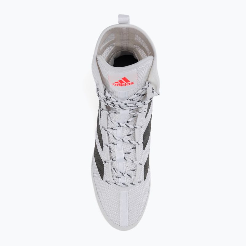 Bokso bateliai adidas Box Hog 3 baltos ir juodos spalvos GV9975 6