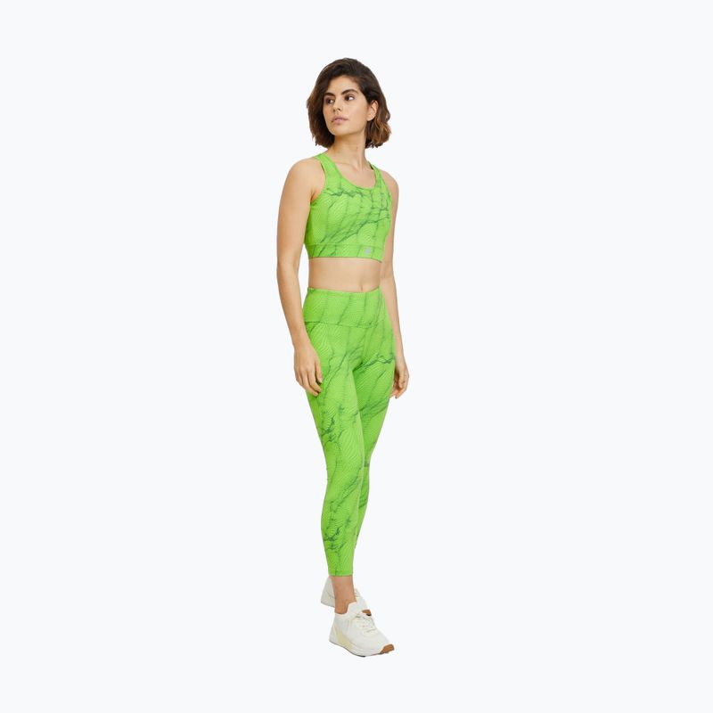 FILA Reboredo AOP dark forest mars aop liemenėlė 2