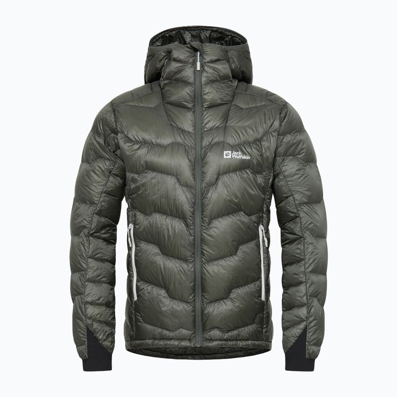 Vyriška pūsta striukė Jack Wolfskin Alpspitze Down Hoody slate green 6