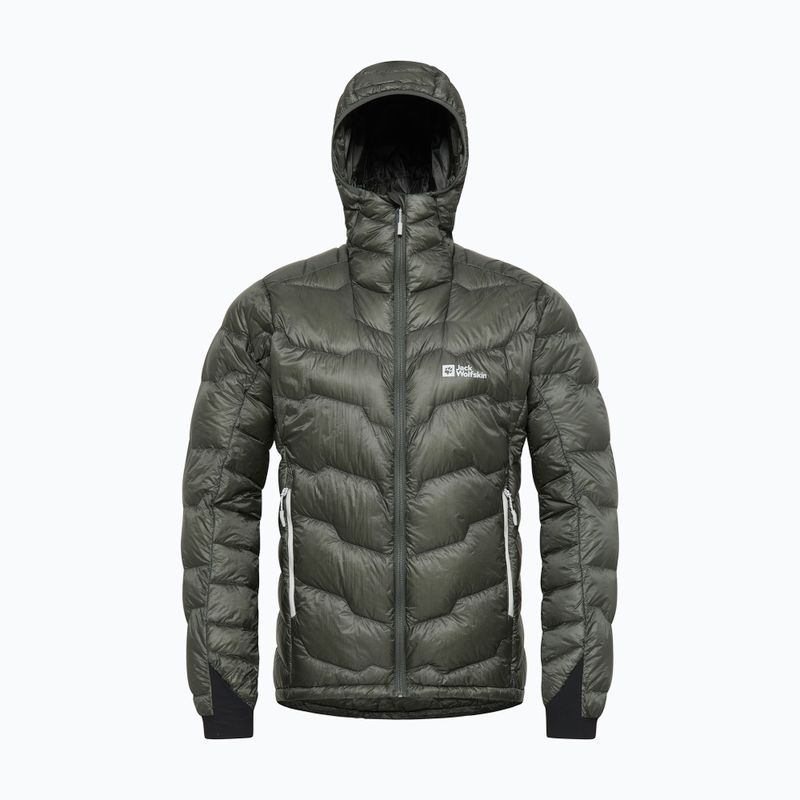 Vyriška pūsta striukė Jack Wolfskin Alpspitze Down Hoody slate green 7