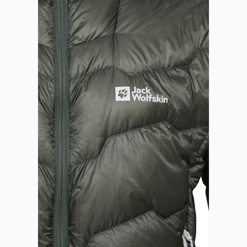 Vyriška pūsta striukė Jack Wolfskin Alpspitze Down Hoody slate green 9