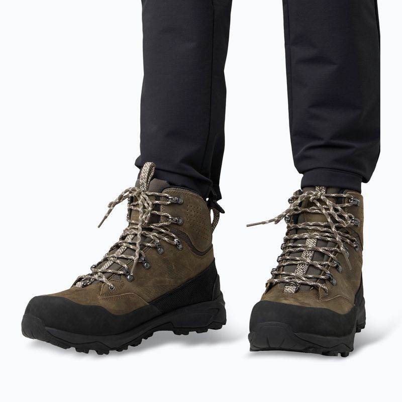 Vyriški žygio batai Jack Wolfskin Terraquest Arctic Texapore Mid cold coffee 8