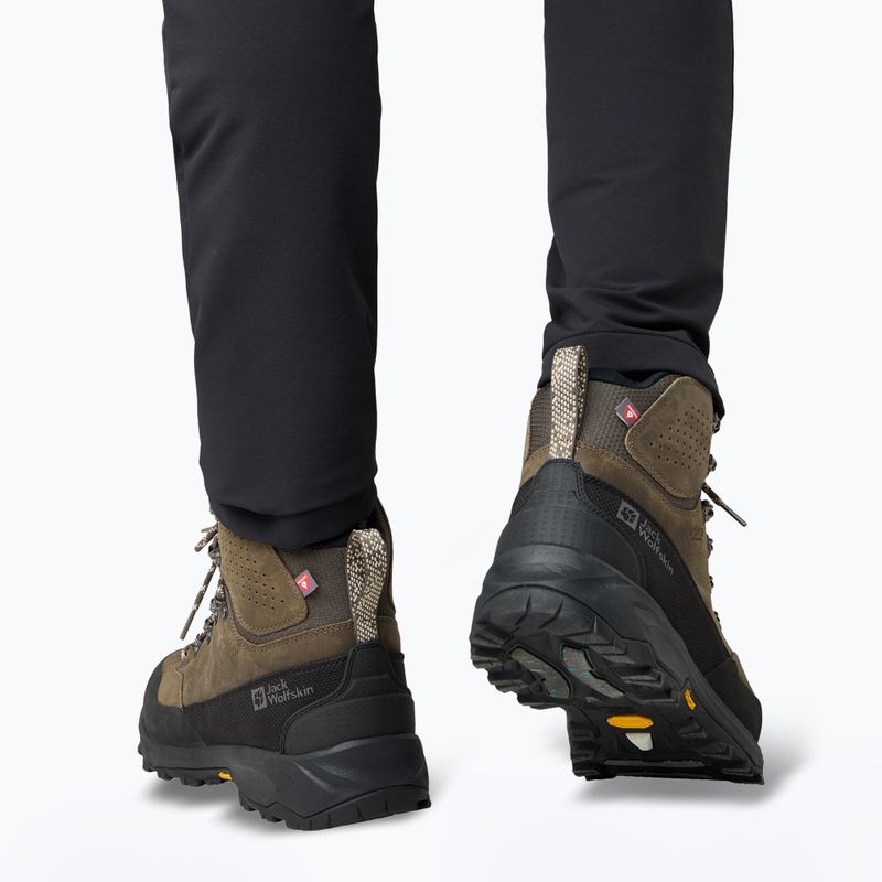 Vyriški žygio batai Jack Wolfskin Terraquest Arctic Texapore Mid cold coffee 9