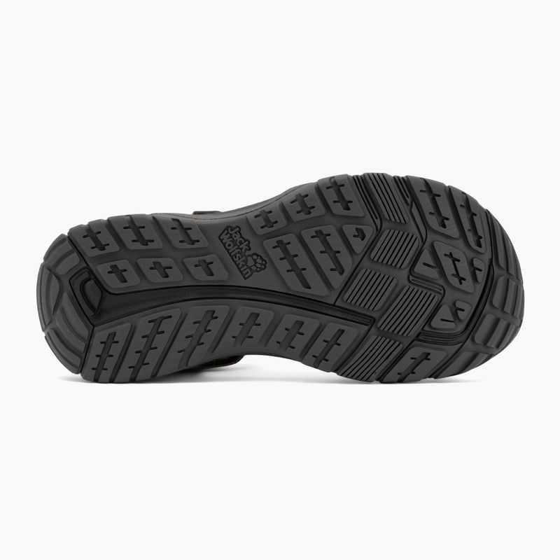 Vyriški sandalai Jack Wolfskin Lakewood Ride cold coffee 4