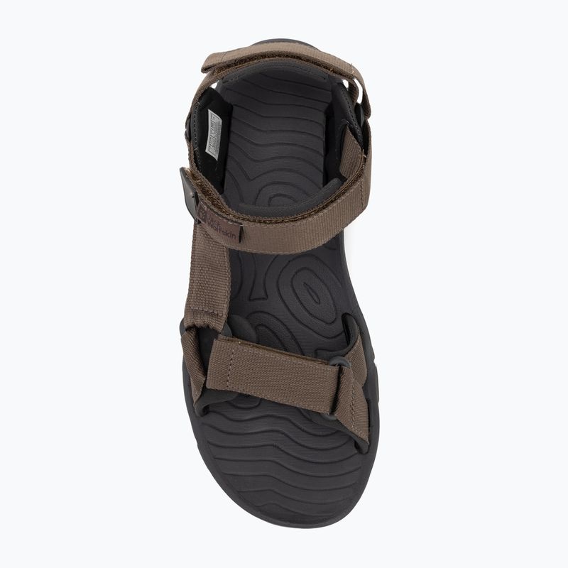 Vyriški sandalai Jack Wolfskin Lakewood Ride cold coffee 5