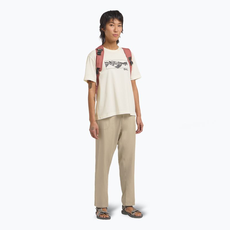 Moteriški sandalai Jack Wolfskin Wave Breaker cold coffee 9