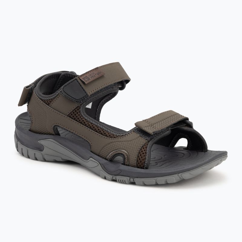 Vyriški sandalai Jack Wolfskin Lakewood Cruise cold coffee
