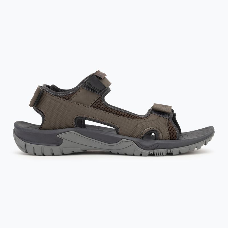 Vyriški sandalai Jack Wolfskin Lakewood Cruise cold coffee 2
