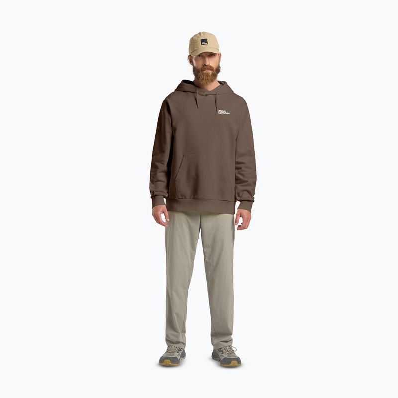 Vyriškas džemperis Jack Wolfskin Essential Hoodie cold coffee 2
