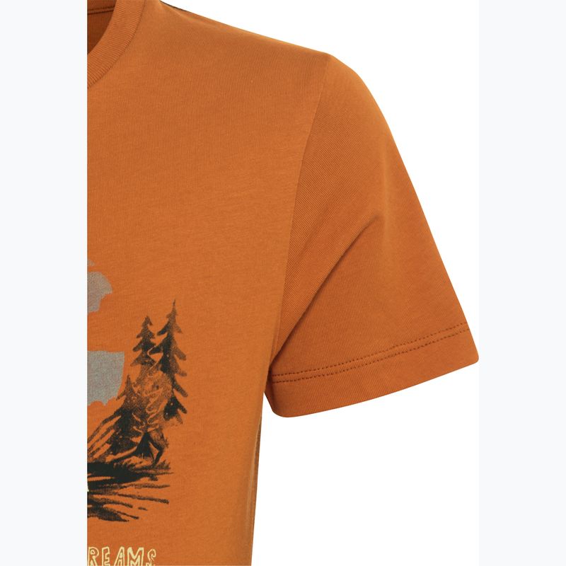 Vaikiški marškinėliai Jack Wolfskin Graphic Cotton T print soft amber 9