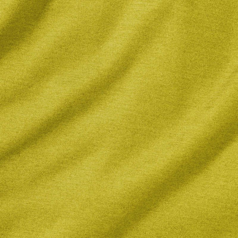 Vyriškas žygio džemperis Jack Wolfskin Peak District Hooded Full Zip chartreuse 10